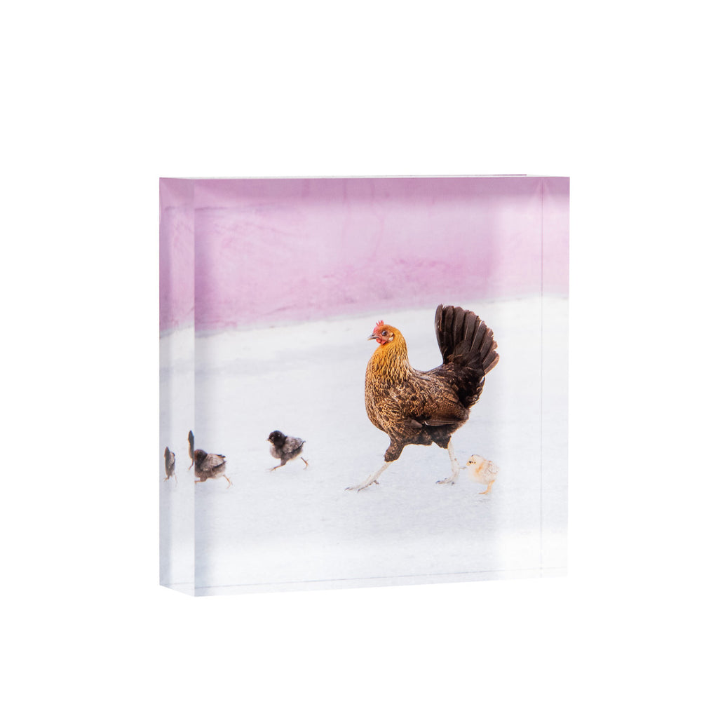 Lucite Block : Morning Commute